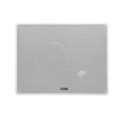 WS-610 4.5''5-10W Wall Mount Speaker